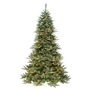 Royal Majestic Douglas Fir Downswept Trees - Pre-Lit