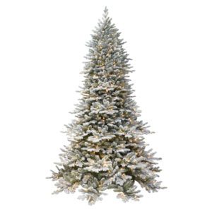 Flocked Royal Majestic Douglass Fir Downswept Trees - Pre-Lit