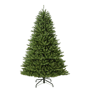Fraser Fir Pencil Trees - Un-Lit